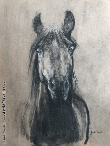 Horse Study (cb 01) by Astrid Chevallier
