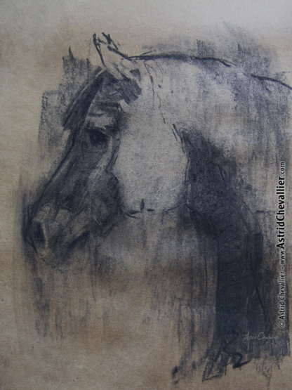 Horse Study (cb 07) by Astrid Chevallier