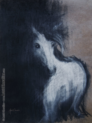 Horse Study (cb 04) by Astrid Chevallier