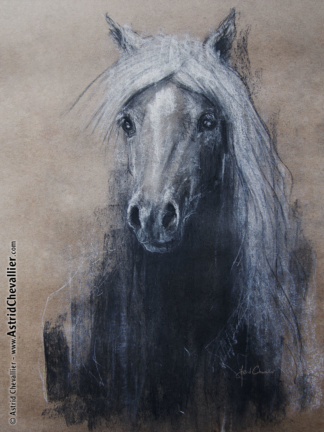 Horse Study (cb 05) by Astrid Chevallier