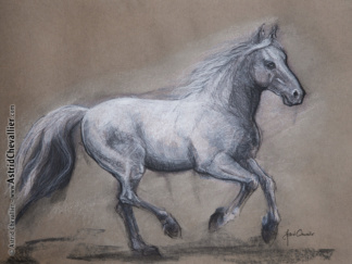 Horse Study (cb 10) by Astrid Chevallier