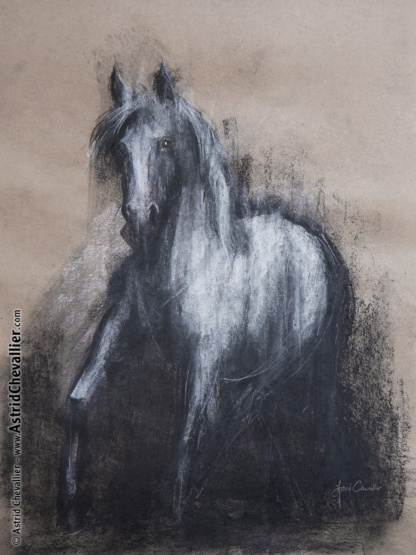 Horse Study (cb 11) by Astrid Chevallier