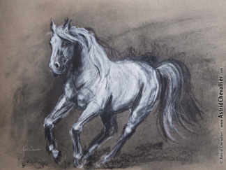 Horse Study (cb 12) by Astrid Chevallier